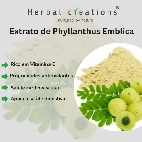 extrato de Phyllanthus Emblica fornecedor